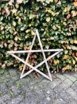 Kerstster_klein_488910E2-CC22-4144-8B25-8029C80F6AEB_1_105_c
